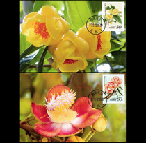 2002-3 Rare Flower Stamp Limit Postcard 2 All
