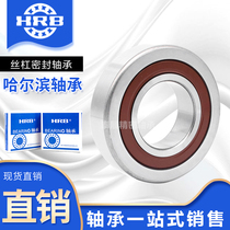 Ball screw bearing 7602015 7602017 7602020 7602025 7602030TN P4DBB