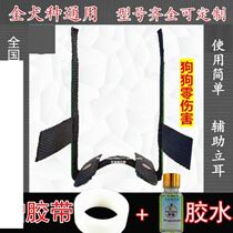 Auxiliary erection Universal utenver for dogs special earcher orthosis Durbin horse dog tie stick