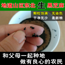 Northeast farmhouse raw sesame black sesame not dyed self-produced 500g