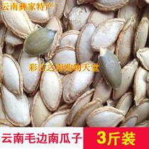 New Yunnan raw raw pumpkin seeds rural raw pumpkin seeds artificially selected with shell particles full bulk
