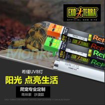 Xijin climbing pet tortoise feeding lizard calcium supplement Meat supplement UVB lamp sun back 5 0 10 0 Calcium aid