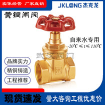 Jack Long valve brass gate valve DN15 20 25 tap water switch water meter front fire valve Pipe Master valve