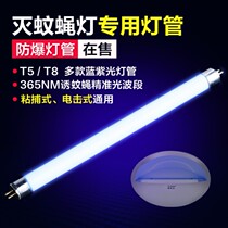 Mosquito extinguishing lamp tube sticky fly extinguishing lamp restaurant dedicated T5-6W8W lure blue violet fly extinguishing lamp tube fly Ant lamp