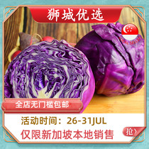 (Vegetable)Purple cabbage 1kg Singapore local delivery