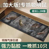 Sticky mouse board mouse paste strong glue sticky sticky big mouse rodent killing magic blanket to catch and catch mice artifact home automatic
