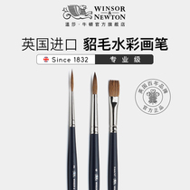 Windsor Newton British imported professional grade natural mink hair watercolor painting pen brush brush hook pen Pigment art special brush single set pointed round head flat head cable pen