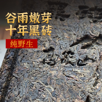 Gaojiashan 2011 Wild Old Black Tea Hunan Anhua Anhua Black Tea Authentic Tiangjian Black Brick Tea