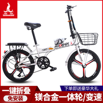 Phoenix folding bicycle Lady light transmission car student adult ultra light integrated wheel free of installation 20 inch bicycle