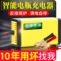 Smart 12v pedal motorcycle battery charger lead-acid battery automatic universal repair charger