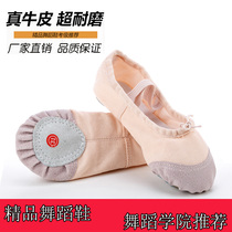 Children dance shoes soft dance shoes for women girls lian gong xie adult yu jia xie early childhood ballet shoes male mao zhua xie