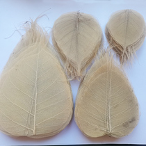 General goods clearance special bodhi leaf vein rubbing art paper dry flower collage partition leaf decoration handmade materials