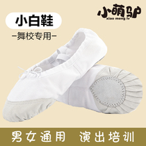 White dance shoes Children girls soft-soled practice shoes Dance shoes Adult men cat claw body classical ballet shoes