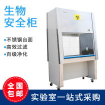 100-level aseptic console BHC-1300II BSC-1000IIA2 laboratory secondary biological safety cabinet