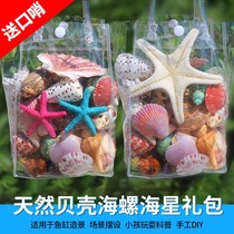 Natural shell conch ornaments starfish shell fish tank aquarium platform landscaping childrens toy gifts