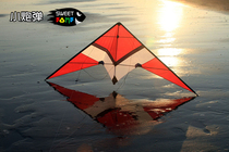 Flying Edge Brand Stunt Double Line Sports Kite small sugar coated shells 2 2 m Full set of beginners breeze good fly