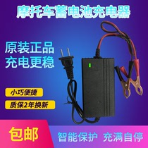 Smart 12V scooter battery charger 12 20AH battery repair charger dry water universal type