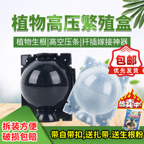 Plant high-pressure package cuttings grafting root control empty branch box seedling rooting artifact Garden tree high-altitude pruning box
