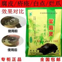 Turtle fungus white spot rot skin perforated rotten nail scabies rotten claws turtle medicine Brazil turtle medicine water turtle medicine traumatic white eyes