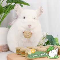 Store length homemade pet dragon cat rabbit guinea hamster hamburger grinding tooth Moses clover clover Australian wheat straw cake snacks