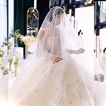 Bride wedding Korean Pearl super-dense fashion bright flash head yarn dreamlike wedding long tailing tail yarn