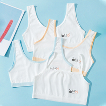 Cotton girl underwear female youth development vest vest Primary School students junior high school children children girl bra summer thin