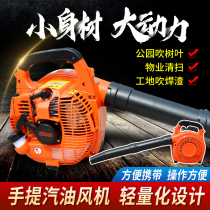 Portable high-power gasoline hair dryer wind fire extinguisher forest fire extinguisher leaves Road snow blower