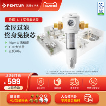 Pentair Hantel front filter household tap water whole house large flow positive backwash water purifier