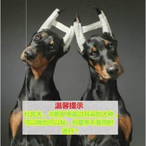 Chai Dog Special Ear Dog Dog Dog With Ear Cover Stand Ear dog Corrector God Instrumental Dubin Dog Vertical Ear Clip