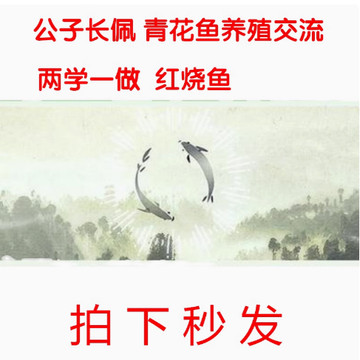 [秒发]公子长佩 青花鱼养殖交流 两学一做烹饪 红烧青鱼 永久独享