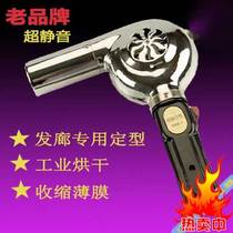 Silent ultra-silent styling electric hair dryer vintage stainless steel barber shop pet home student dormitory 450W