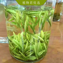 2021 New Ming Anji White Tea Spot plant Jun preferred Anji white tea head spring green tea 50g a can