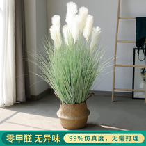 Net Red big Reed fake dry bouquet simulation flower Nordic style decoration living room fake green plant potted plants landing
