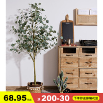  Simulation green plant potted Nordic ins wind Eucalyptus tree Large fake plant money leaf ornaments Indoor decoration tree