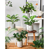 Simulation green plant small potted office desktop decoration turtle back fake plant decoration fake flower living room decoration