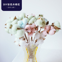 Natural kapok dried flower handmade diy decoration material immortal bouquet creative home furnishings ins shooting props