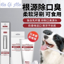 Dog tooth set cream stone Japanese KOJM halitosis dog pet Teddy edible set in addition to brushing to small