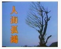 DVD machine version Peoples Sea Lonely Hong] Ren Xianzi 24-episode super-long 4 discs