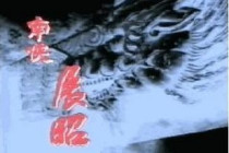 DVD (Nanxia Exhibition Shoes) Wuguo Weiguo Tang Diocesan 20 Set of 3 Disc