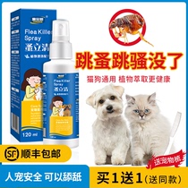 Cat insecticides for external use to remove fleas from dogs to remove dogs and cats and dogs to repel home to kill and drive non-Disinfection