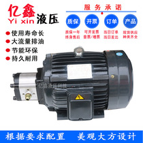 Gear pump hydraulic oil pump CBN-EF304 306310314316320325 interpolated motor pumping station