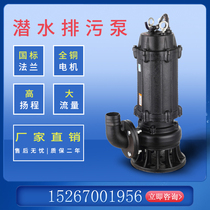 WQ submersible sewage pump stainless steel explosion-proof Full Protection high-power mixing without clogging cutting return flow mixing sink pump