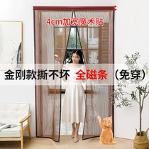 Screen door curtain 2021 new diamond mesh screen door curtain summer velcro anti-mosquito household anti-cat jump