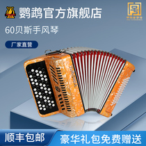 Parrot brand YW-672 accordion 2 rows of spring 62 keys 60 bass BS beginner grade examination professional performance instrument