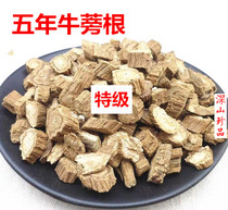 Tongrentang producing area 500g paranus root Chinese medicinal material burdock root dry special wild bulk burdock root root