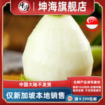 (Fresh Fruit) Pear 1kg Singapore Local Shipping