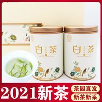 Boutique gift box Authentic Anji white tea 2021 spring tea New tea Mingqian premium small buds alpine tea green tea