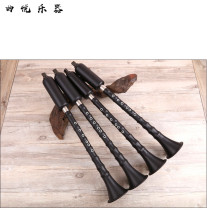 Bau mahogany vertical blowing gc tune F flat B tune junior students adult professional performance type Yunnan musical instrument