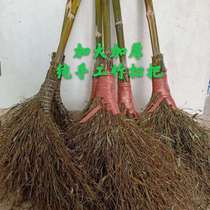  (Fujian hot sale)Rural handmade bamboo broom Household factory Yard street sweeper Outdoor