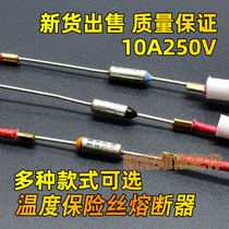  Universal egg steamer electric kettle hanging ironing machine air blower hot air gun temperature fuse tube diode 10A